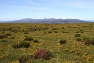 Rutas: Serra do Laboreiro